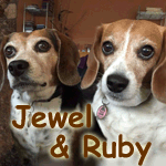 Jewel&Ruby