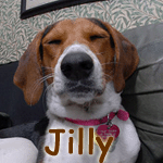 Jilly