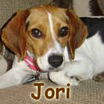 Jori