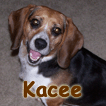 Kacee