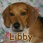 Libby