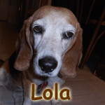 Lola