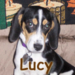 Lucy