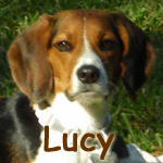 Lucy