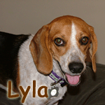 Lyla