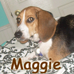 Maggie