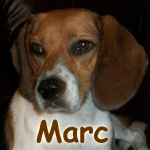 Marc