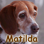 Matilda