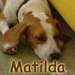 Matilda