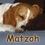 Matzoh