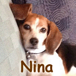 Nina