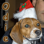 Odie
