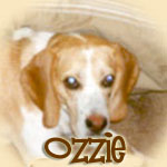 Ozzie