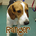 Ranger