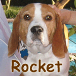Rocket