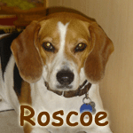 Roscoe