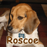 Roscoe