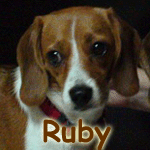 Ruby