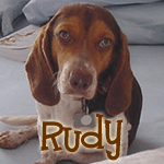 Rudy