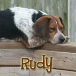 Rudy