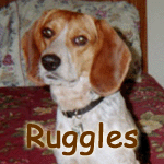 Ruggles
