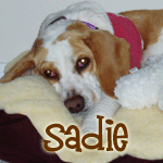 Sadie