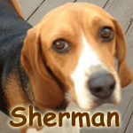 Sherman