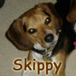 Skippy