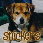 Snickers