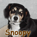 Snoopy