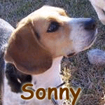 Sonny