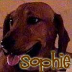 Sophie