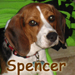 Spencer
