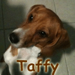 Taffy