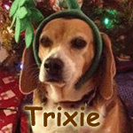 Trixie