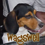 Wagswell
